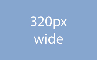 Example of an image 320px wide