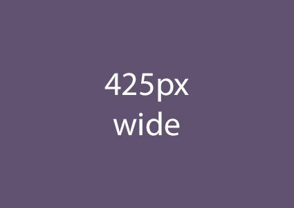 Example of an image 425px wide