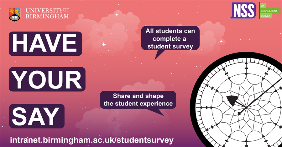Have your say surveys