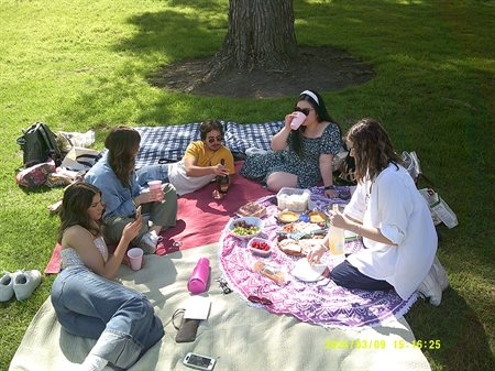 A group of friends picnic in the park on a sunny day.