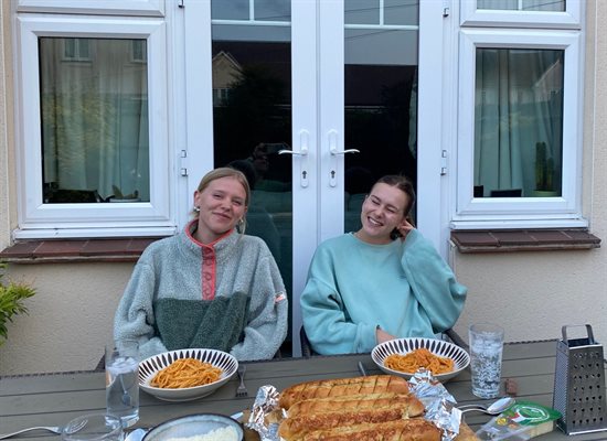 2 alice's human connection