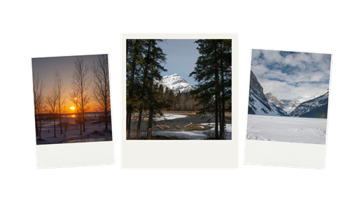 MicrosoftTeams-image (24)