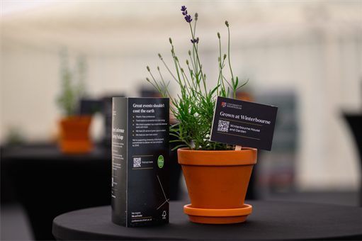 Plant labels (small)