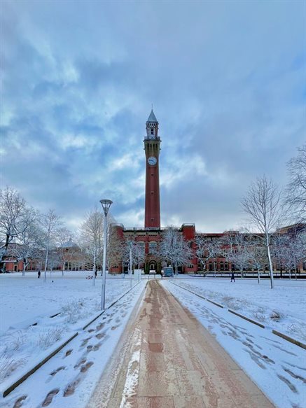 snowy campus